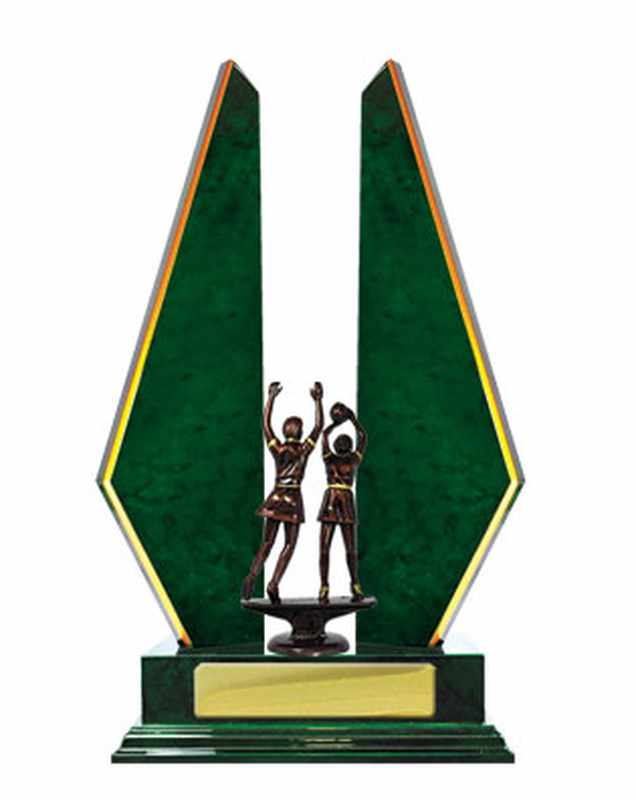 Timber Buildup Netball