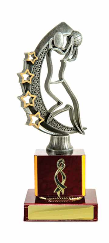 Timber Buildup Netball