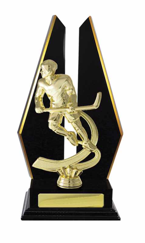 Holzaufbau-Eishockey