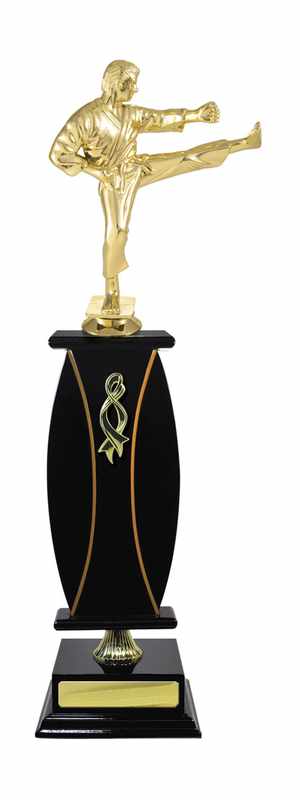 Holzaufbau-Kampfkunst