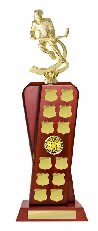 Holzaufbau-Eishockey