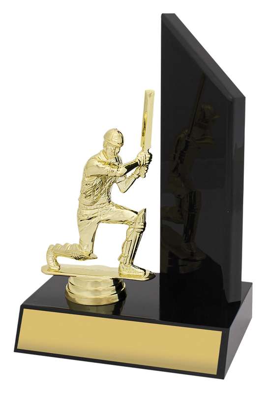 Flügel schwarz glänzend