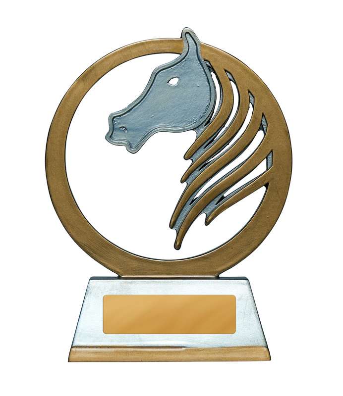 Goldene Mähne – Pferd