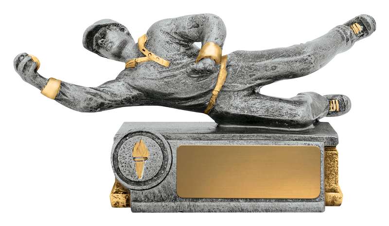 Cricket-Tauchfeldspieler