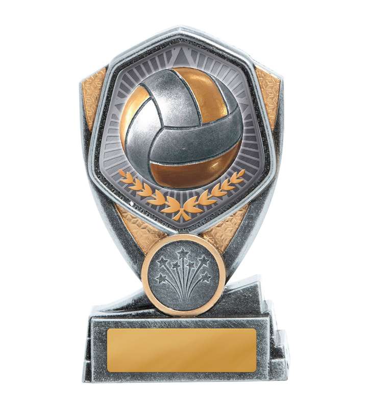 Helden-Serie-Volleyball