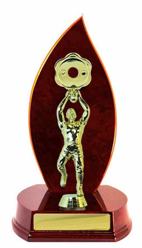 Australische Regeln für den Holzaufbau