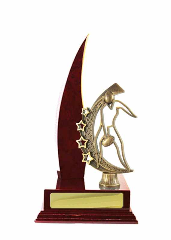 Australische Regeln für den Holzaufbau