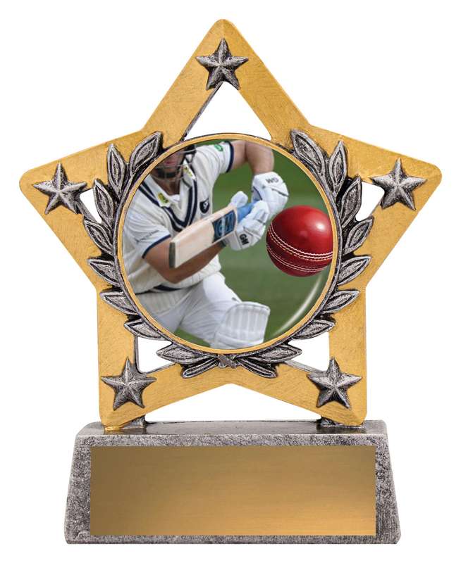 Mini Star Farbe – Fledermäuse