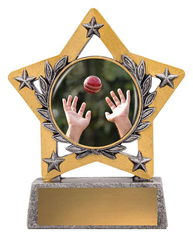 Mini Star Colour – Feldarbeit