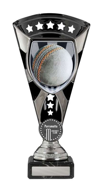Cobra Cup-Cricket