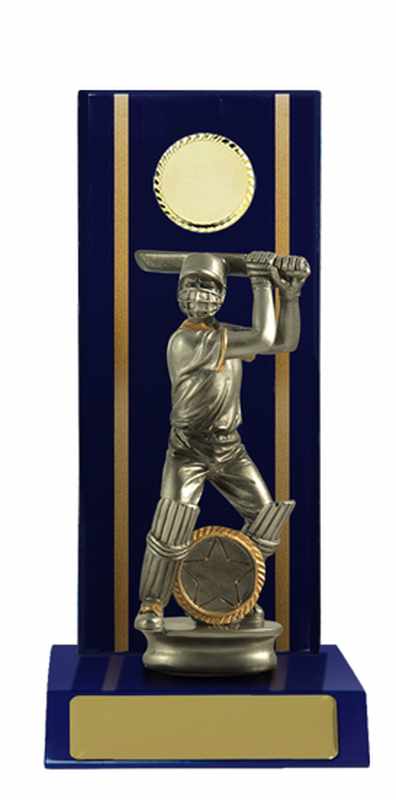 Timber Buildup Cricket-Männchen