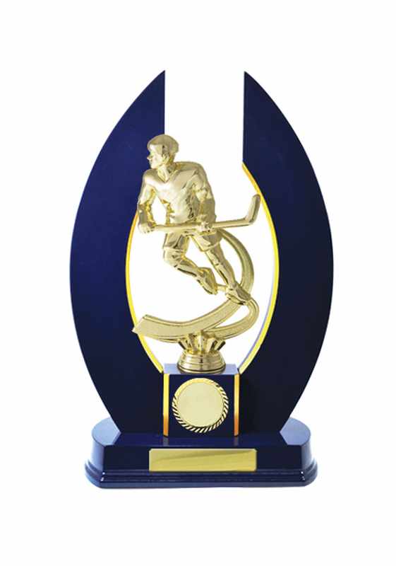 Holzaufbau-Eishockey