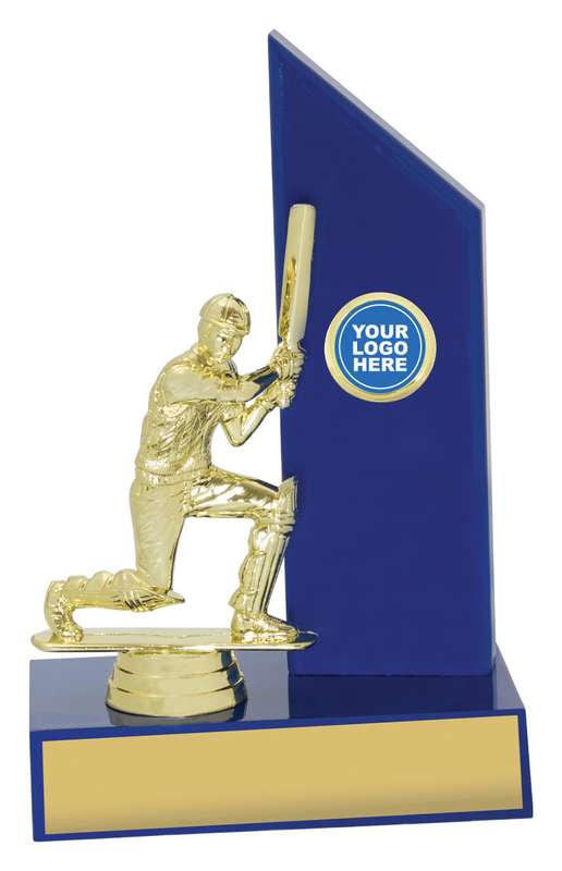 Blau glänzender Flügel